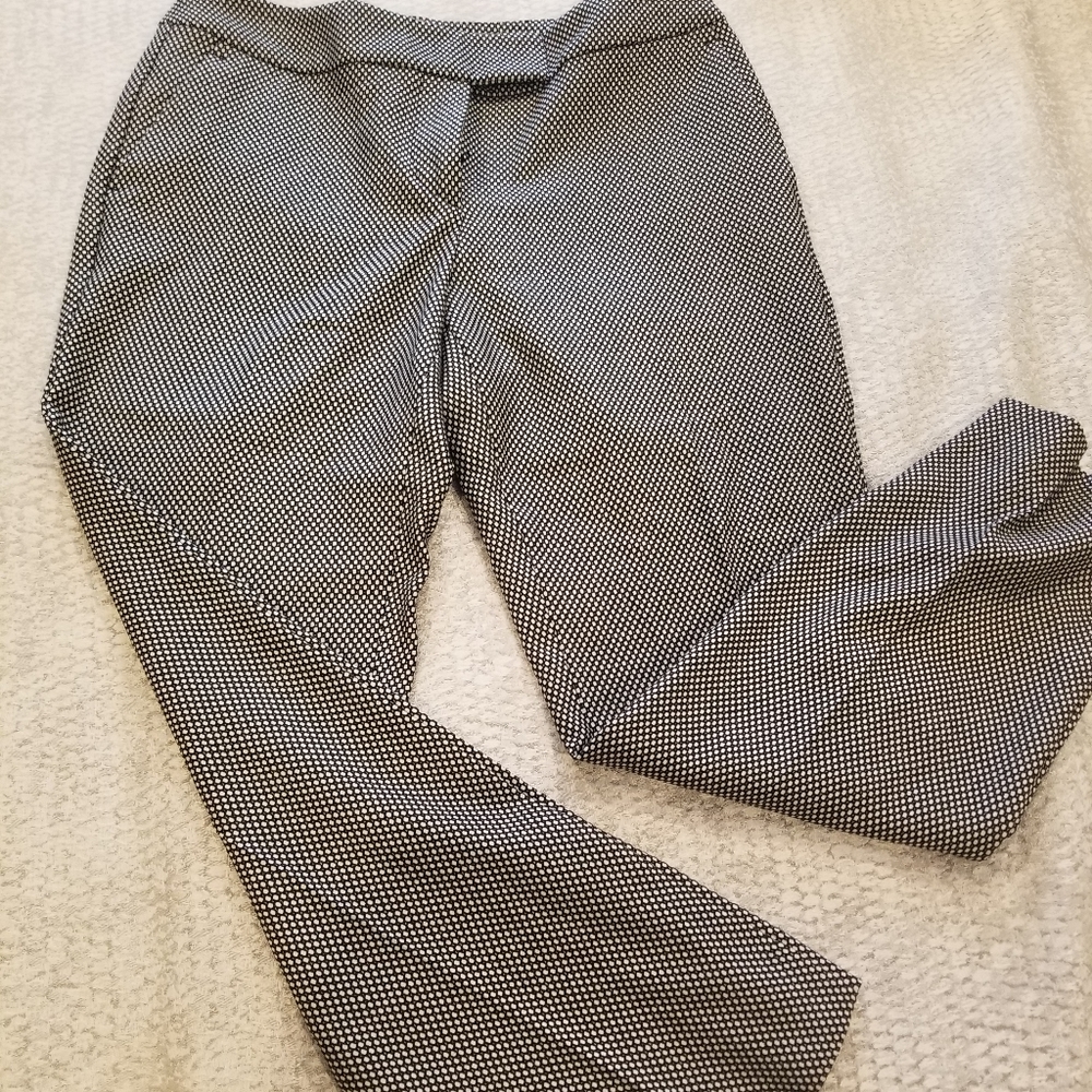 Ann Taylor Curvy ladies Pants